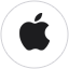 apple pay